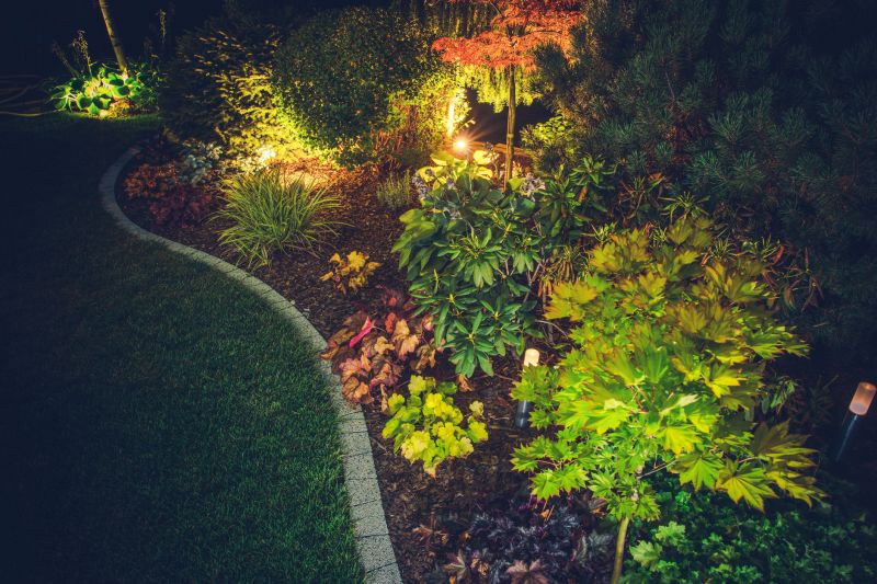 Landscape Lighting