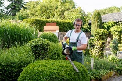 Shrub Care Service