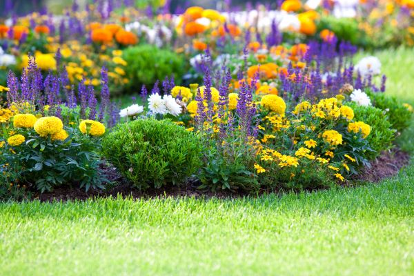 Flower Bed Maintenance in Brentwood