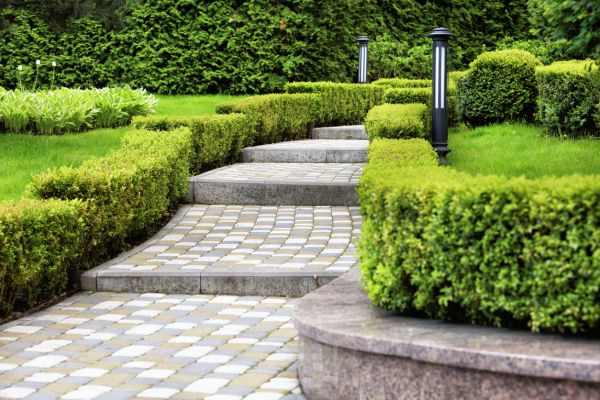 Backyard Remodeling in Brentwood