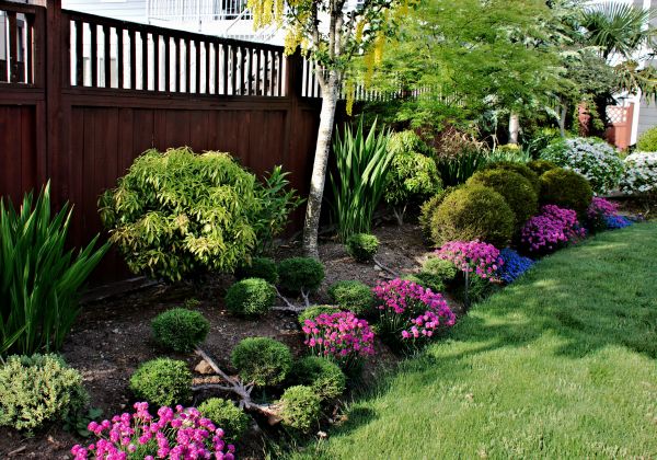 Garden Care Service in Brentwood