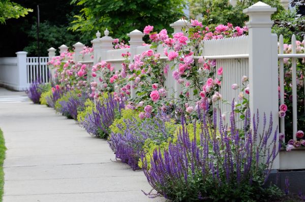 Garden Handyman Service in Brentwood