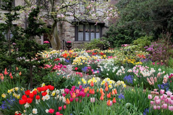 Garden Maintenance Service in Brentwood