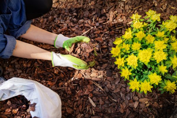 Pine Bark Delivery in Brentwood