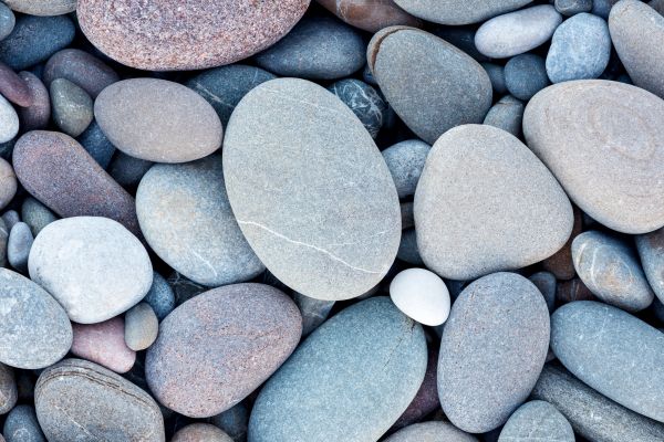 River Rock Delivery in Brentwood