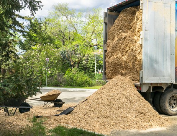 Wood Chips Delivery in Brentwood