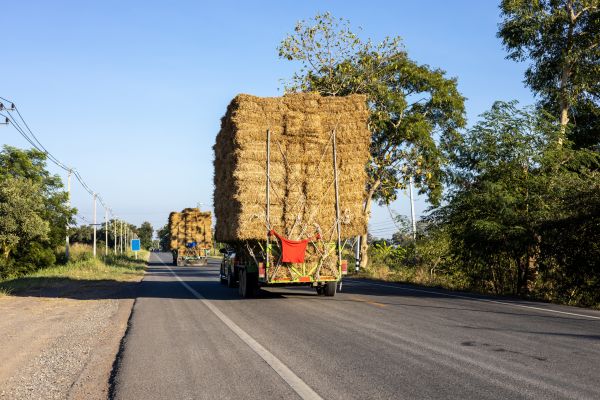 Pine Straw Delivery in Brentwood