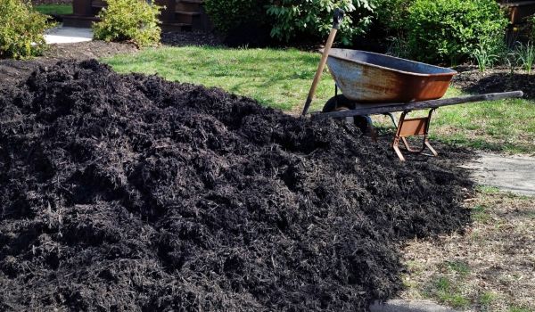 Black Mulch Delivery in Brentwood