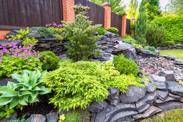Landscape Remodeling in Brentwood