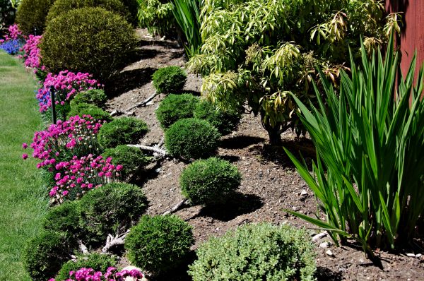 Residential Gardening in Brentwood