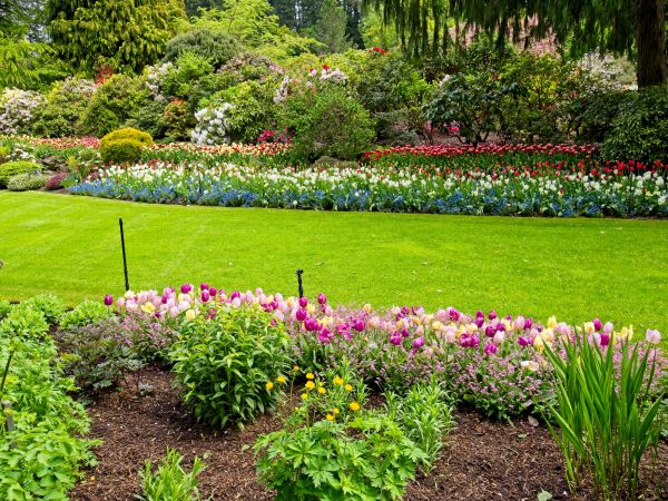 Residential Landscape Design in Brentwood