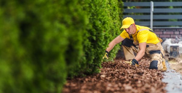 Cypress Mulch Installation in Brentwood