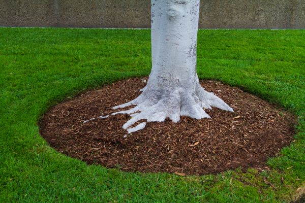 Brown Mulch Installation in Brentwood