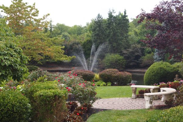 Courtyard Design Service in Brentwood