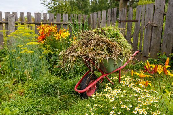 Garden Cleanup Service in Brentwood