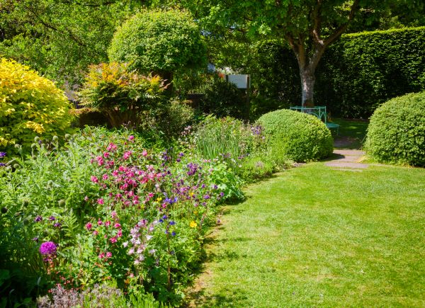 Yard Landscaping Service in Brentwood