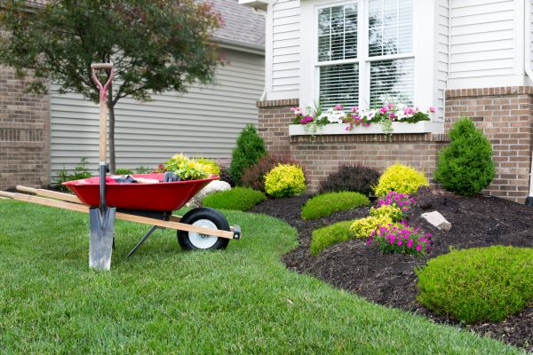 Tree And Shrub Planting in Brentwood