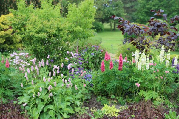 Flower Bed Planting in Brentwood