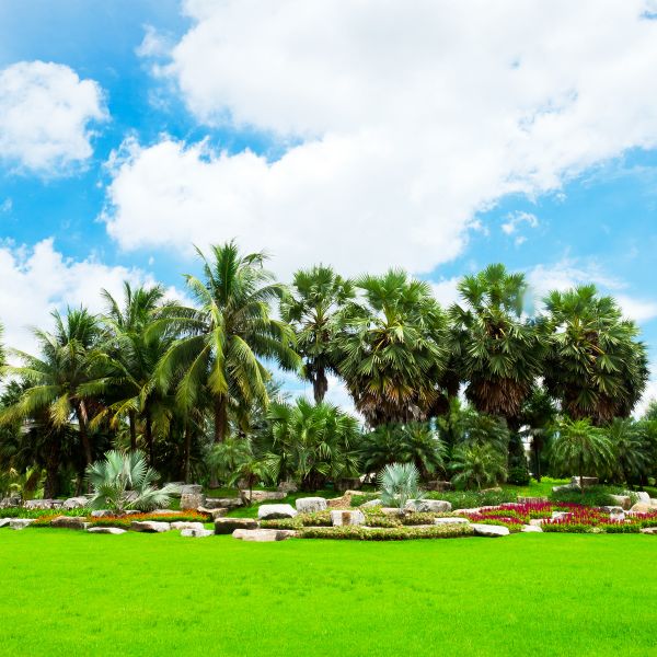 Tropical Landscaping in Brentwood