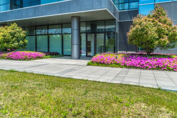 Commercial Gardening in Brentwood