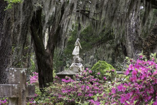Cemetery Landscaping in Brentwood