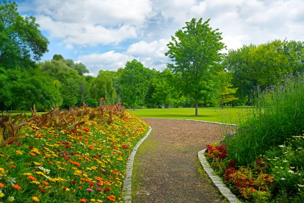 Park Landscaping in Brentwood