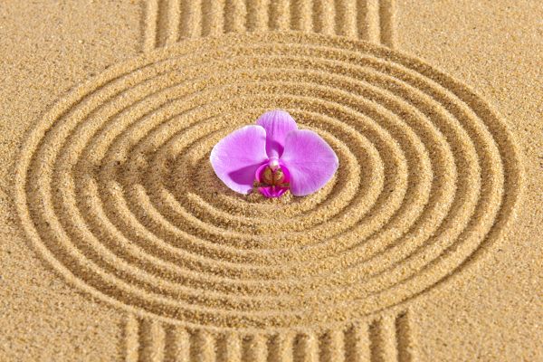 Sand Garden Landscaping in Brentwood