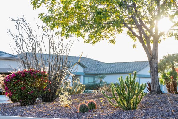 Dryscape Landscaping in Brentwood