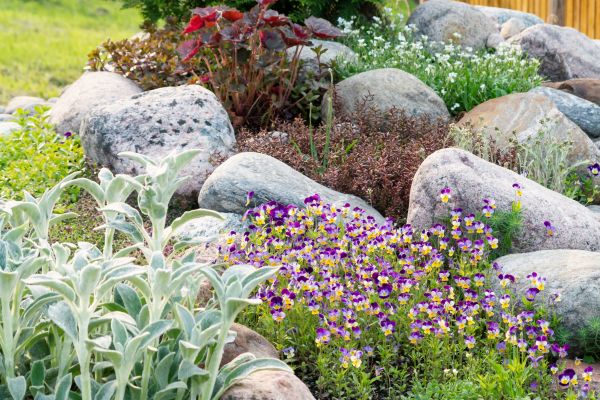 Rock Garden Installation in Brentwood