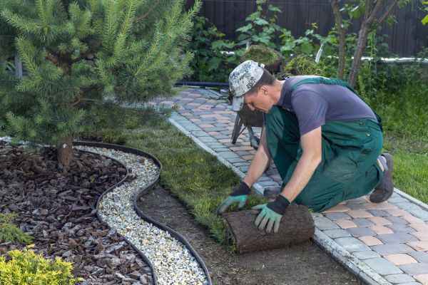 Landscaping Modification in Brentwood