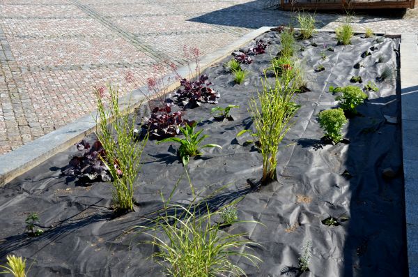 Landscape Fabric Installation in Brentwood