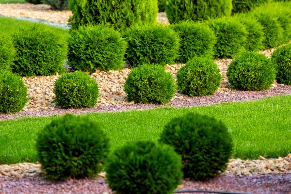 Bush Installation in Brentwood