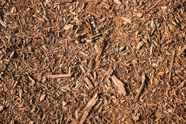 Wood Chips Removal in Brentwood