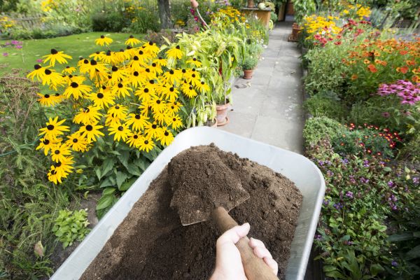 Topsoil Replacement in Brentwood