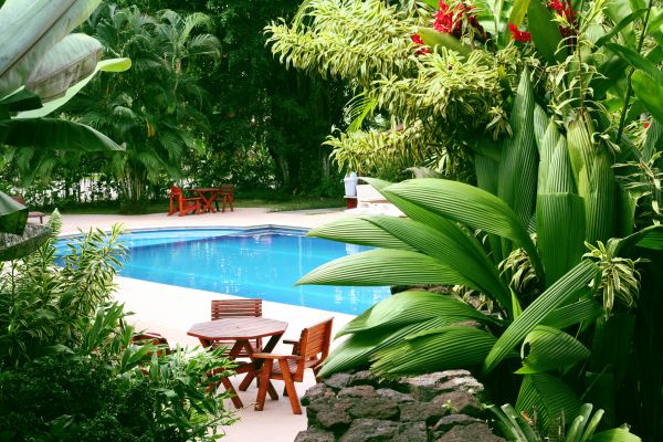 Pool Area Landscaping in Brentwood