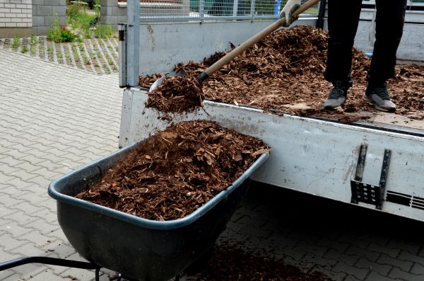 Playground Mulch Delivery in Brentwood