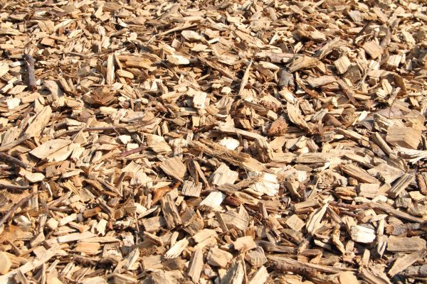 Wood Mulch Delivery in Brentwood