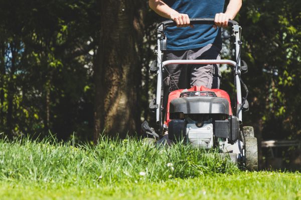 Garden Trimming Service in Brentwood