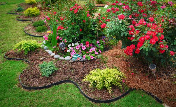 Floral Landscaping in Brentwood