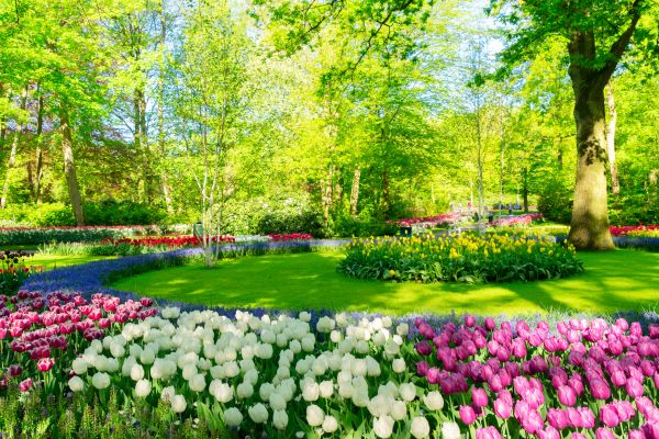Flower Landscaping in Brentwood