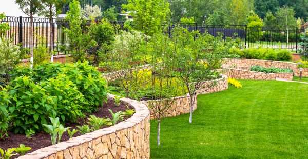 Yard Makeover Service in Brentwood