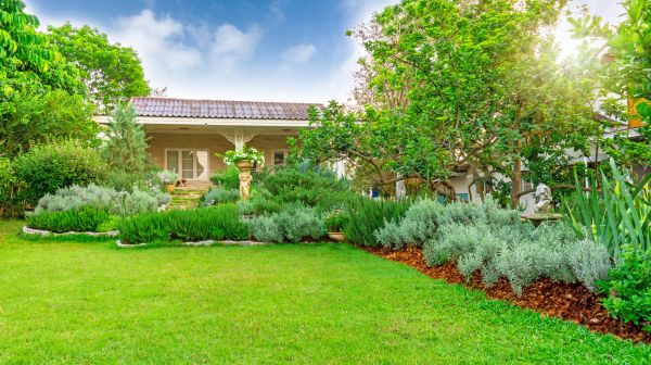 Greenery Planting in Brentwood
