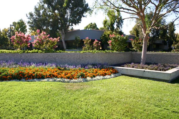 Commercial Landscape Service in Brentwood