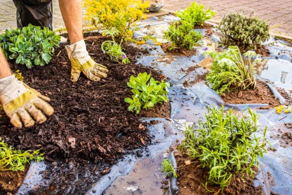 Mulch Fabric Installation in Brentwood