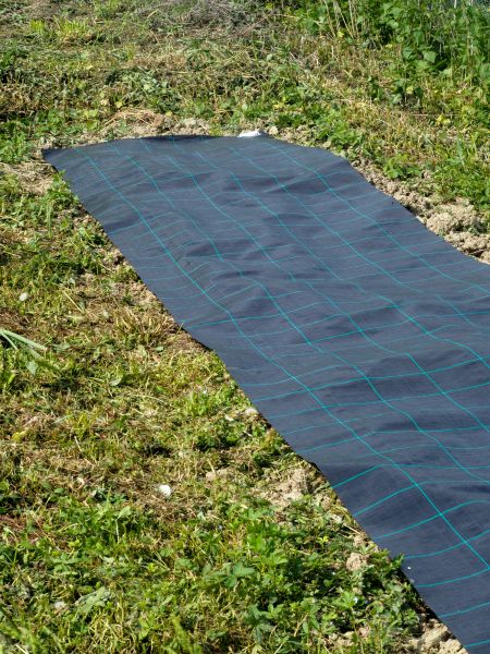 Weed Suppressant Installation in Brentwood