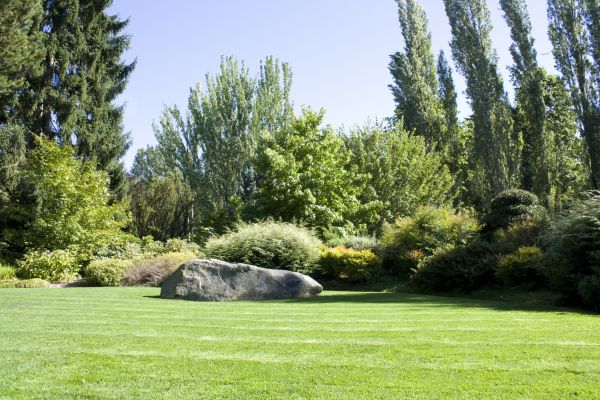 Yard Enlargement in Brentwood