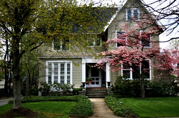 Ornamental Tree Planting in Brentwood