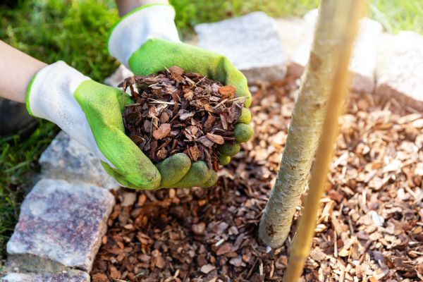 Tree Bark Delivery in Brentwood