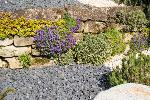 Landscaping Rocks Installation in Brentwood