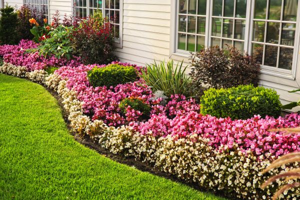 Garden Landscape Design in Brentwood